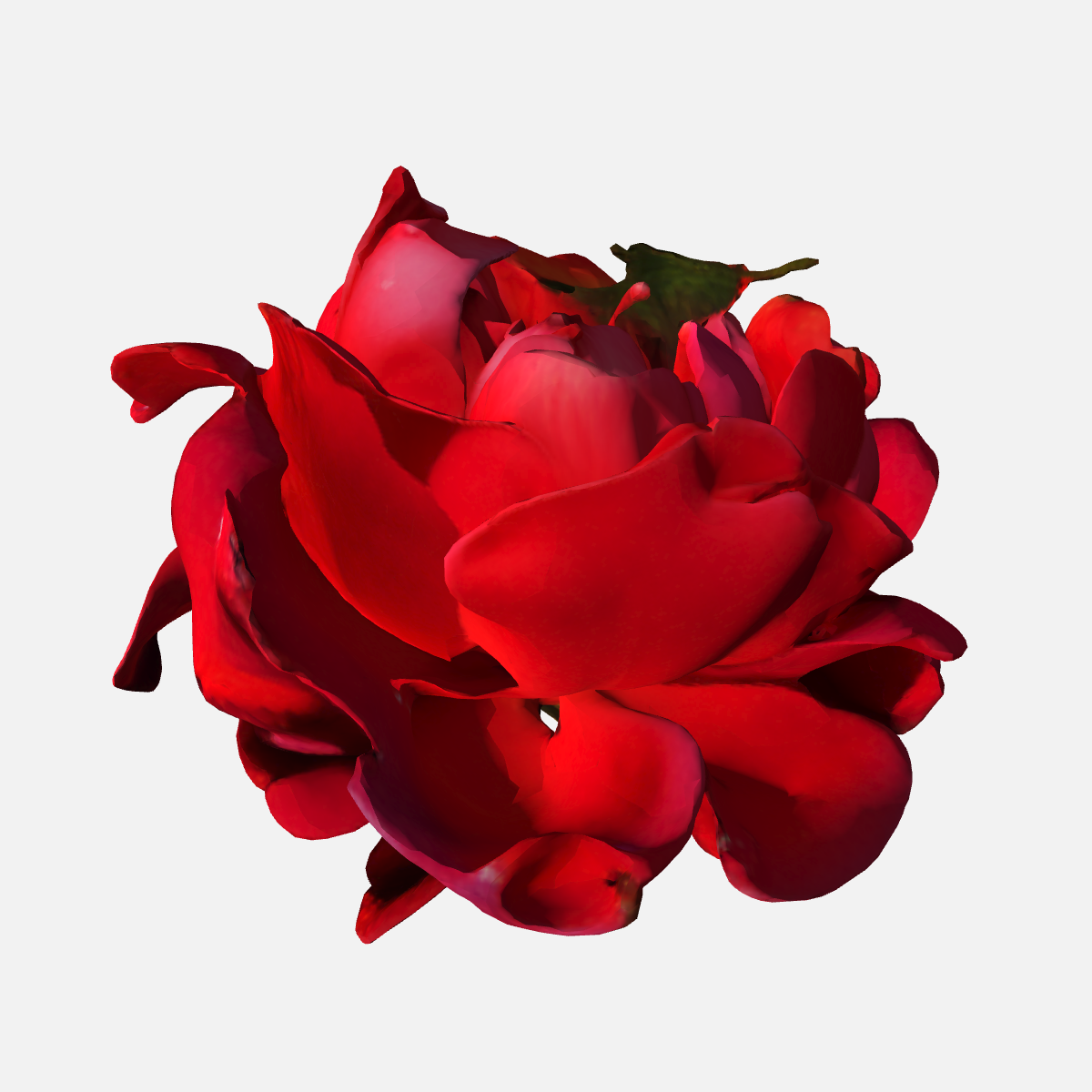 3D generator